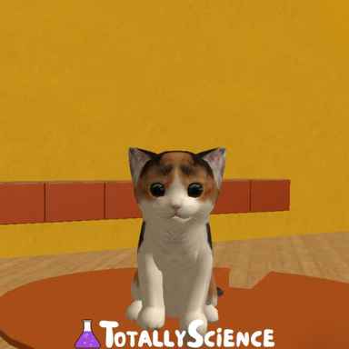 FreezeNova Cat Simulator FreezeNova Cat Simulator