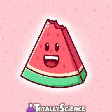 FreezeNova Watermelon Game FreezeNova Watermelon Game