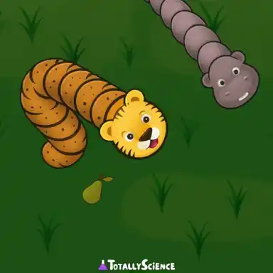 FreezeNova Forest Slither Snake FreezeNova Forest Slither Snake